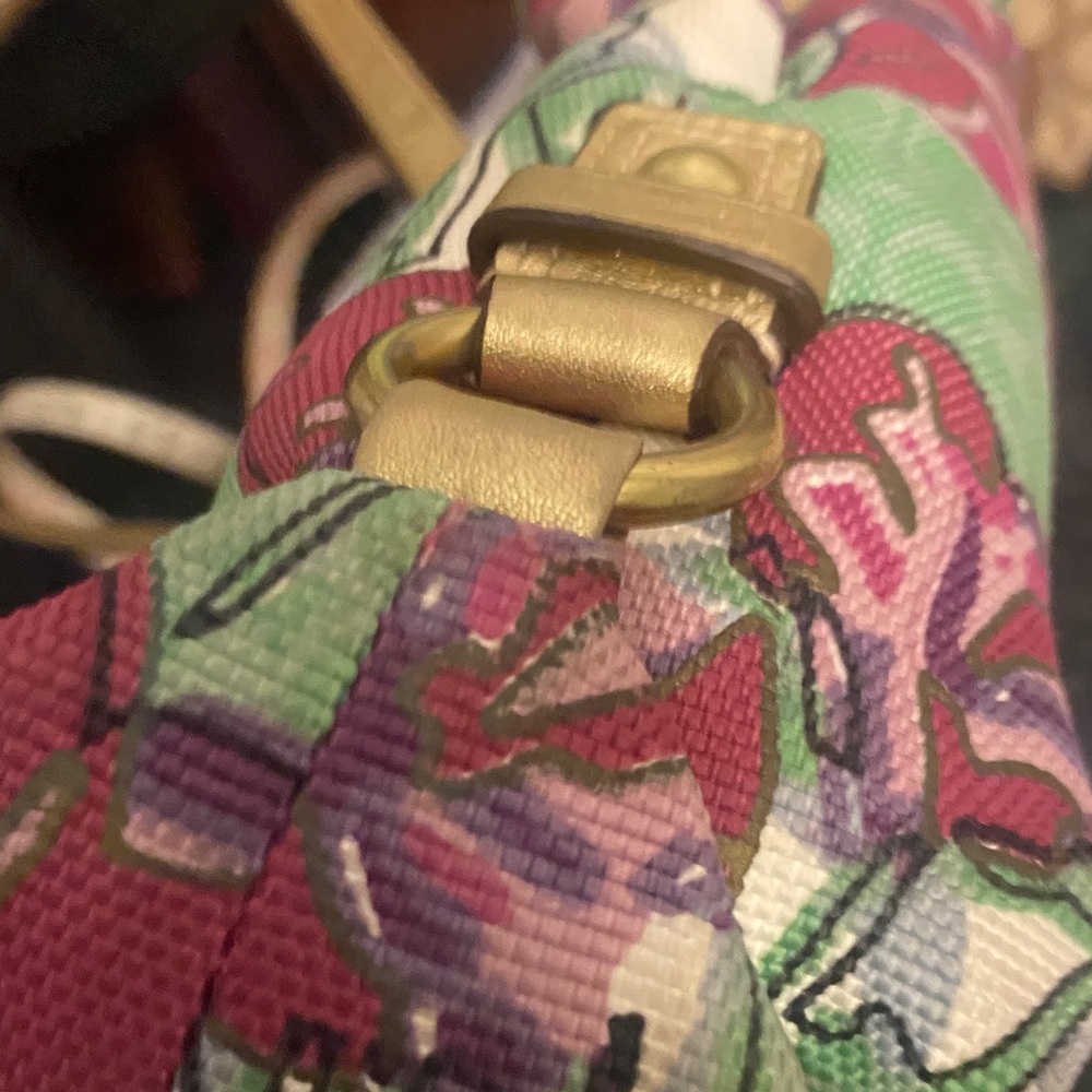 Coach limited edition Ashley Iris Floral  Hobo Floral Satchel Gold Trim f16259 - Picture 4 of 11